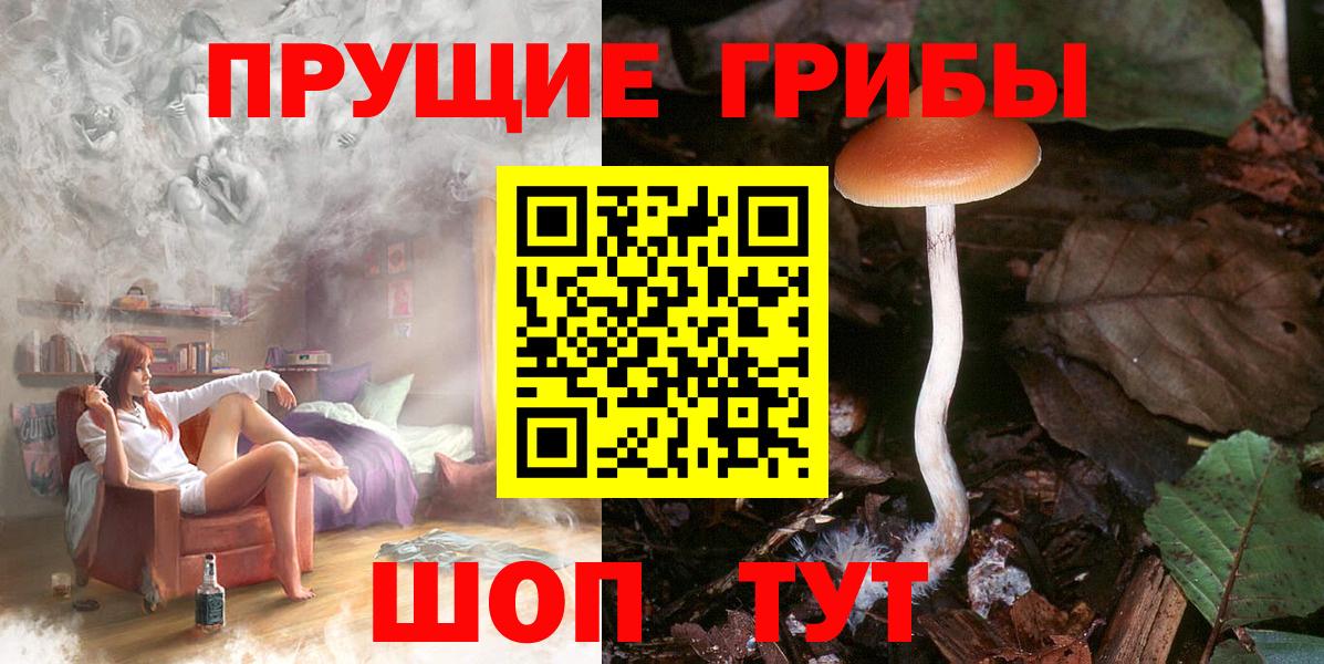 Псилоцибиновые грибы прущие грибы Санкт-Петербург
