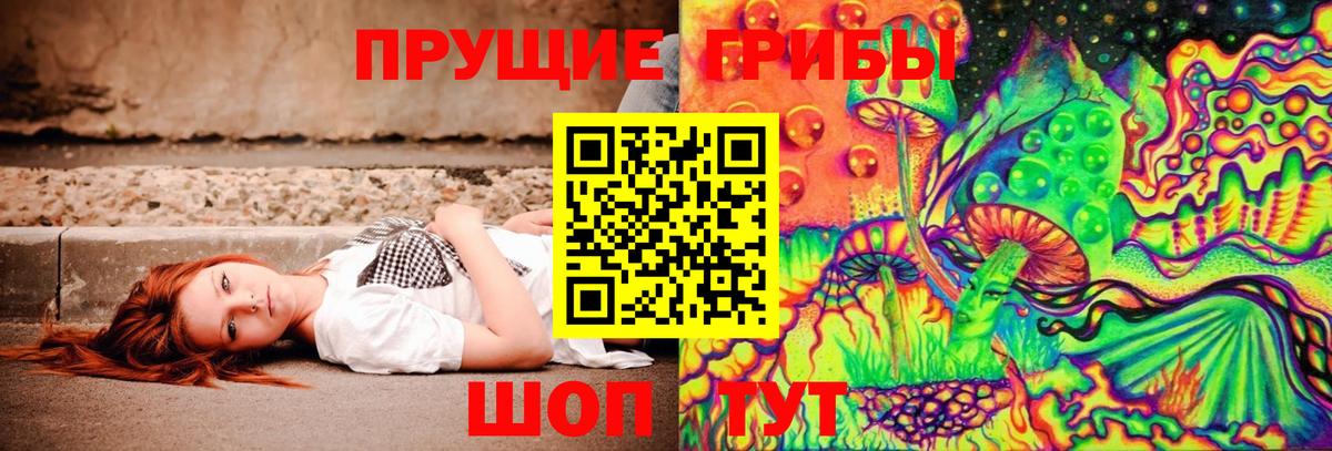 Псилоцибиновые грибы мицелий  Галлюциногенные грибы GOLDEN TEACHER  Вход с VPN  Санкт-Петербург 